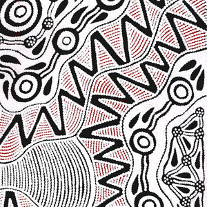 Aboriginal Artwork by Ursula Napangardi Hudson, Pikilyi Jukurrpa (Vaughan Springs Dreaming), 76x76cm - ART ARK®