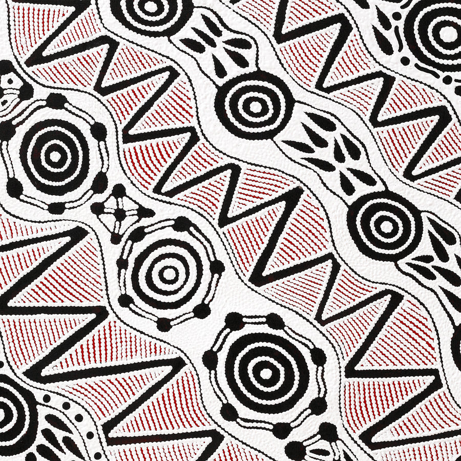 Aboriginal Artwork by Ursula Napangardi Hudson, Pikilyi Jukurrpa (Vaughan Springs Dreaming), 91x76cm