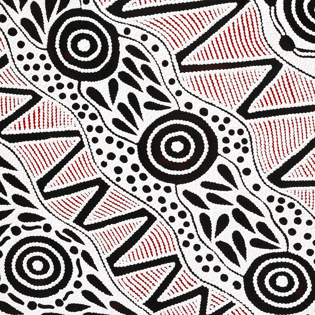 Aboriginal Artwork by Ursula Napangardi Hudson, Pikilyi Jukurrpa (Vaughan Springs Dreaming), 91x76cm - ART ARK®