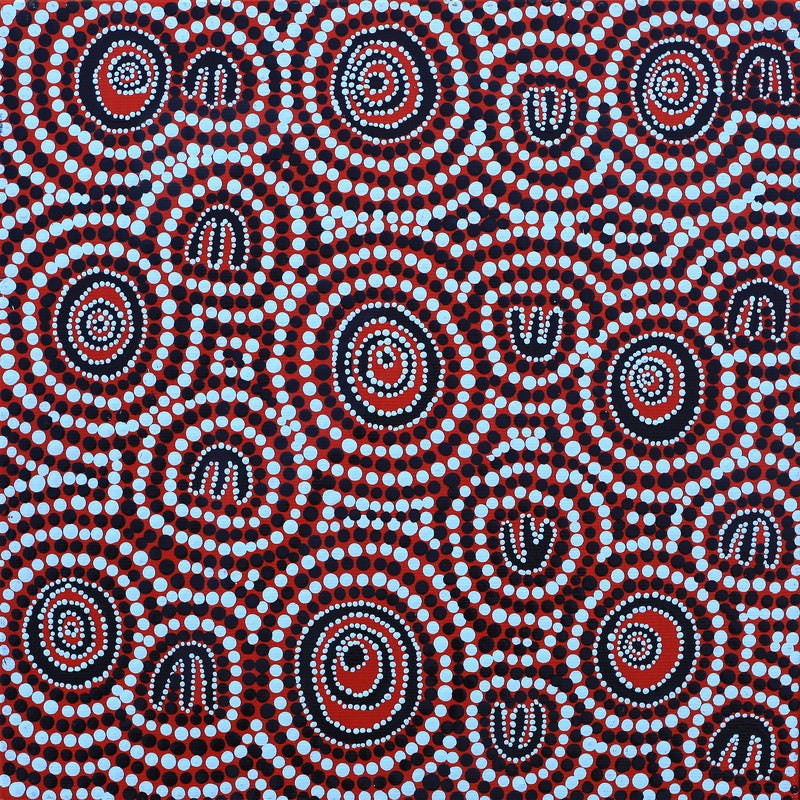 Aboriginal Artwork by Ursula Napanangka Butcher, Janganpa Jukurrpa (Brush-tail Possum Dreaming) - Mawurrji, 30x30cm