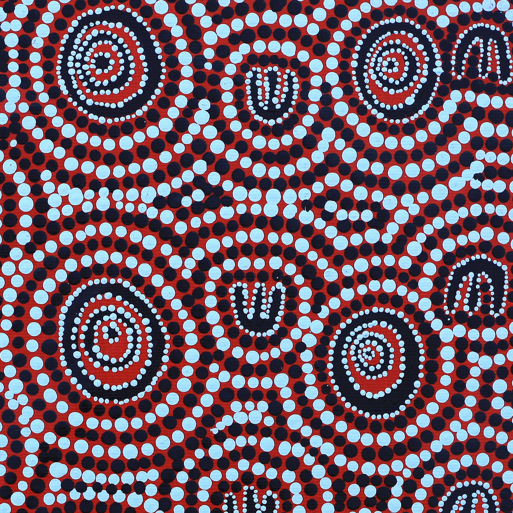 Aboriginal Artwork by Ursula Napanangka Butcher, Janganpa Jukurrpa (Brush-tail Possum Dreaming) - Mawurrji, 30x30cm