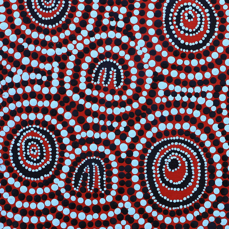 Aboriginal Artwork by Ursula Napanangka Butcher, Janganpa Jukurrpa (Brush-tail Possum Dreaming) - Mawurrji, 30x30cm
