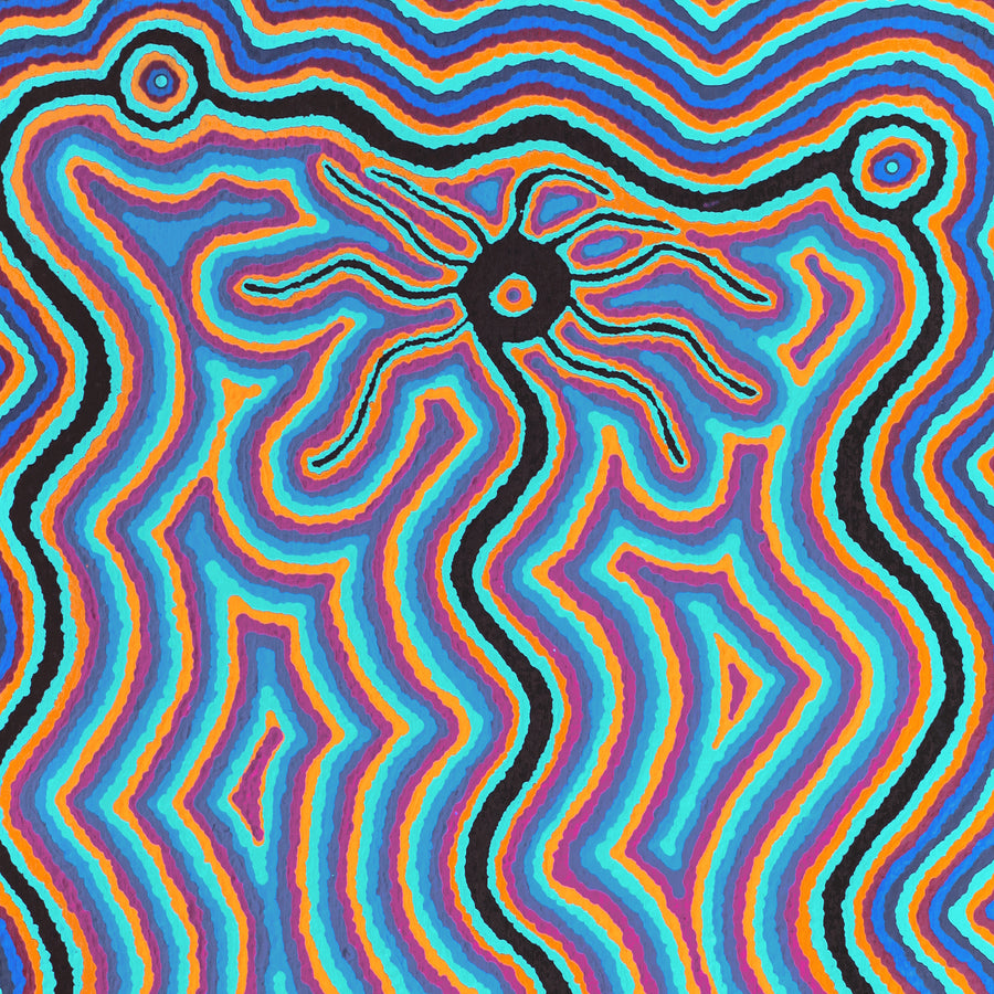 Aboriginal Artwork by Ursula Napanangka Butcher, Janganpa Jukurrpa (Brush-tail Possum Dreaming) - Mawurrji, 76x46cm