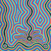 Aboriginal Artwork by Ursula Napanangka Butcher, Janganpa Jukurrpa (Brush-tail Possum Dreaming) - Mawurrji, 76x46cm
