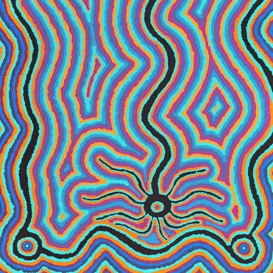 Aboriginal Artwork by Ursula Napanangka Butcher, Janganpa Jukurrpa (Brush-tail Possum Dreaming) - Mawurrji, 76x46cm
