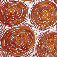 Aboriginal Artwork by Valda Napangardi Granites, Ngalyipi Jukurrpa (Snakevine Dreaming) - Mina Mina, 30x30cm