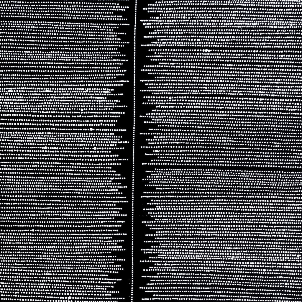 Aboriginal Artwork by Valda Napangardi Granites, Mina Mina Jukurrpa, 152x76cm