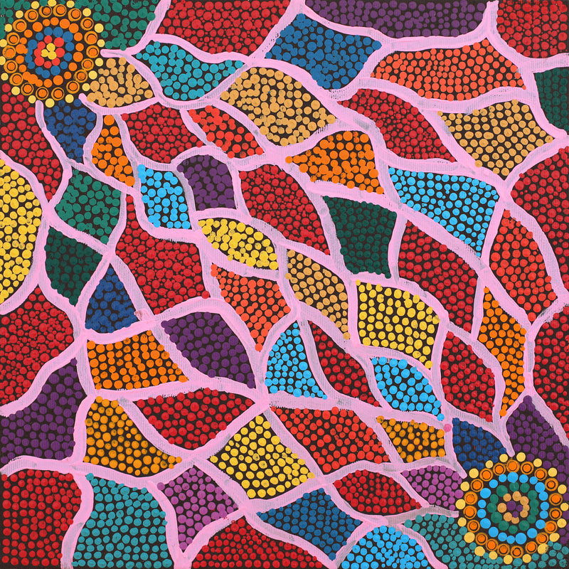 Aboriginal Artwork by Valentine Nakamarra White, Lukarrara Jukurrpa (Desert Fringe-rush Seed Dreaming), 30x30cm