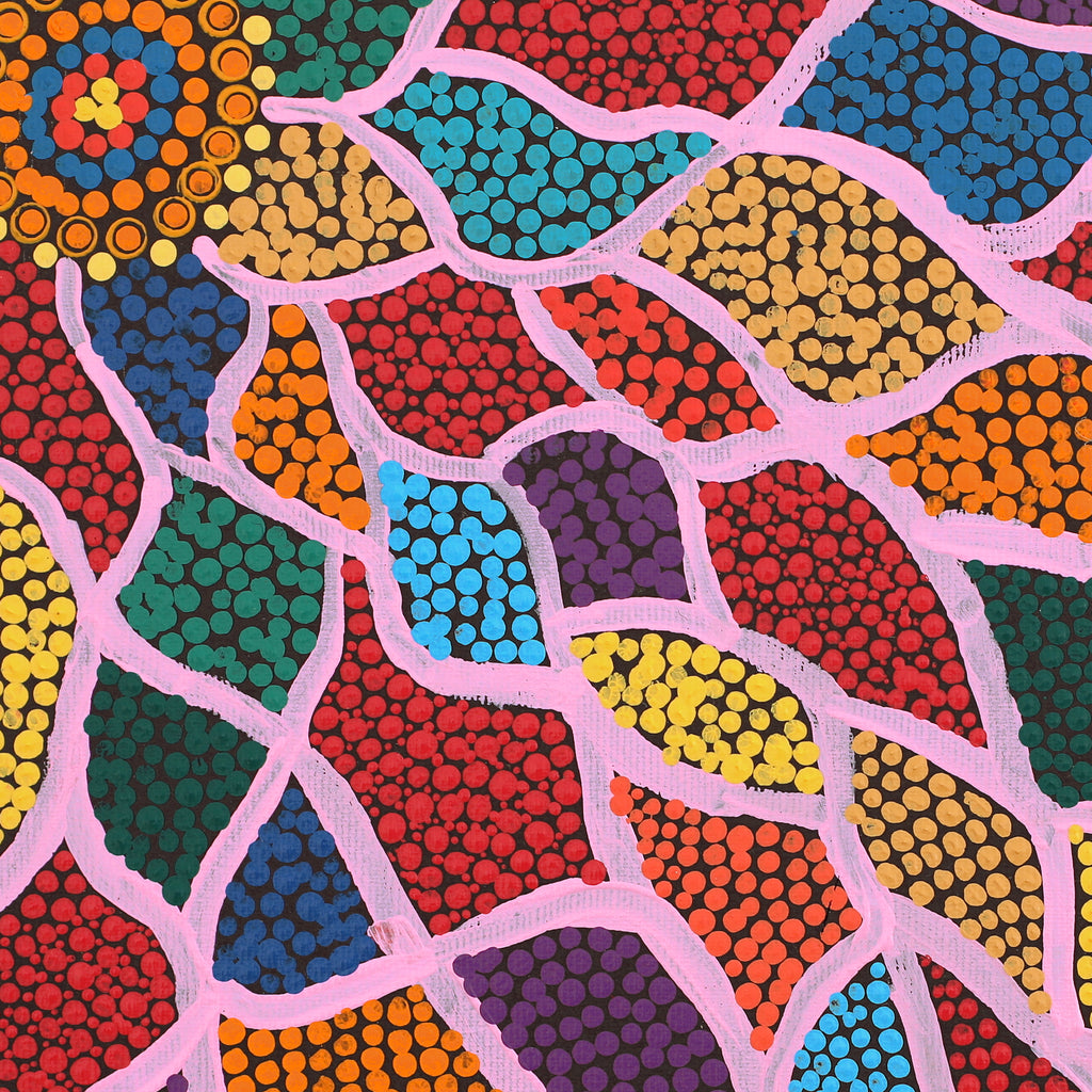 Aboriginal Artwork by Valentine Nakamarra White, Lukarrara Jukurrpa (Desert Fringe-rush Seed Dreaming), 30x30cm - ART ARK®