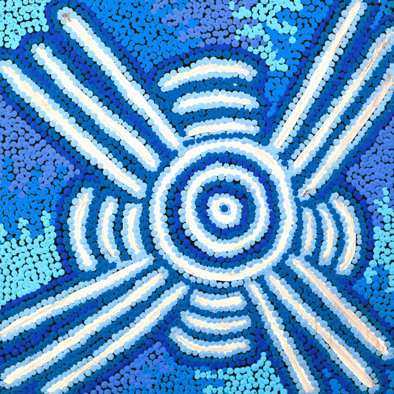 Aboriginal Artwork by Valentine Nakamarra White, Lukarrara Jukurrpa, 30x30cm