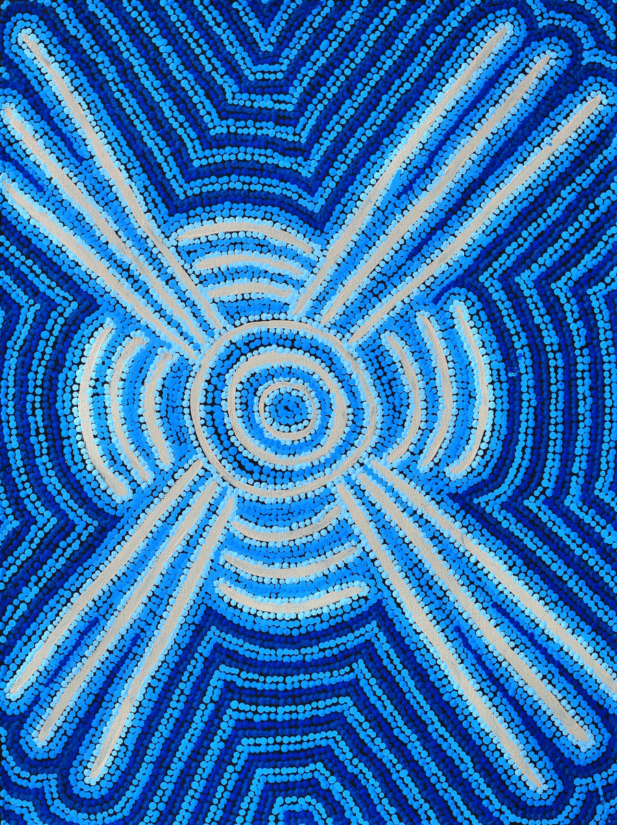 Aboriginal Artwork by Valentine Nakamarra White, Lukarrara Jukurrpa, 61x46cm