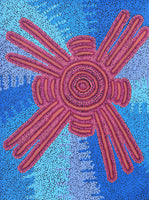 Aboriginal Art by Valentine Nakamarra White, Lukarrara Jukurrpa, 61x46cm - ART ARK®