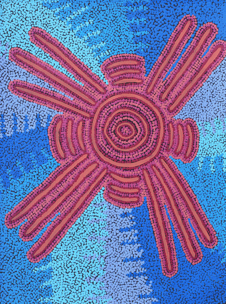 Aboriginal Artwork by Valentine Nakamarra White, Lukarrara Jukurrpa, 61x46cm