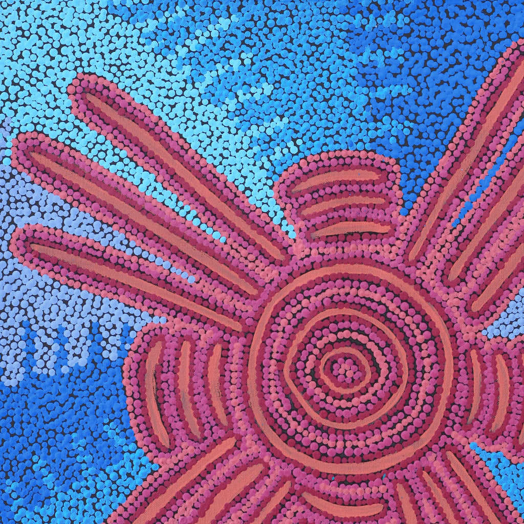 Aboriginal Artwork by Valentine Nakamarra White, Lukarrara Jukurrpa, 61x46cm