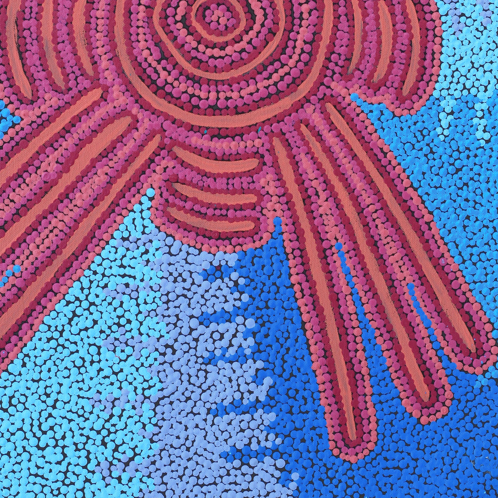Aboriginal Artwork by Valentine Nakamarra White, Lukarrara Jukurrpa, 61x46cm