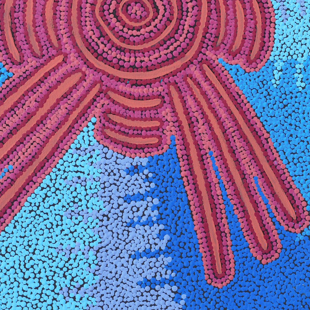 Aboriginal Artwork by Valentine Nakamarra White, Lukarrara Jukurrpa, 61x46cm - ART ARK®