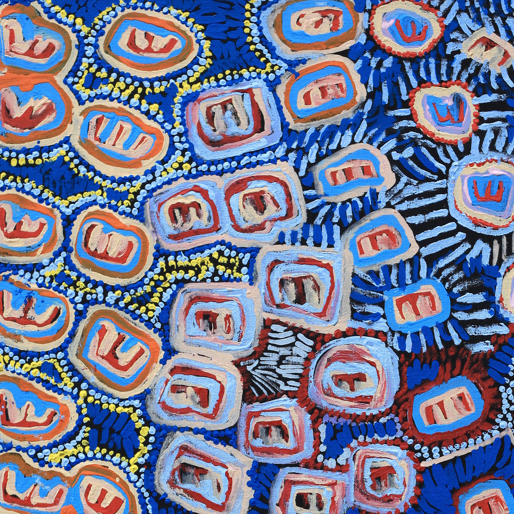 Aboriginal Art by Valerie Napurrurla Morris, Janganpa Jukurrpa (Brush-tail Possum Dreaming)-  Mawurrji, 107x61cm - ART ARK®