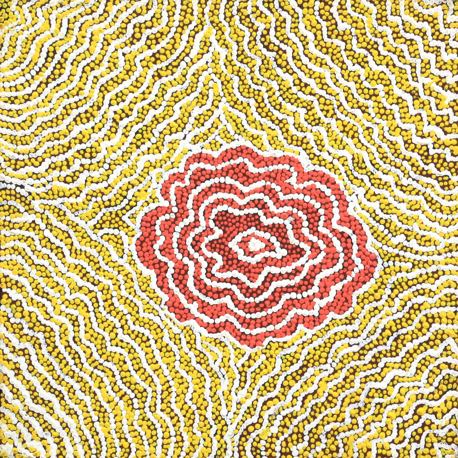 Aboriginal Artwork by Valerie Napurrurla Morris, Ngurlu Jukurrpa (Native Seed Dreaming), 30x30cm