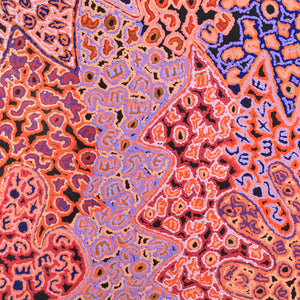 Aboriginal Artwork by Valerie Napurrurla Morris, Ngatijirri Jukurrpa (Budgerigar Dreaming), 91x76cm - ART ARK®