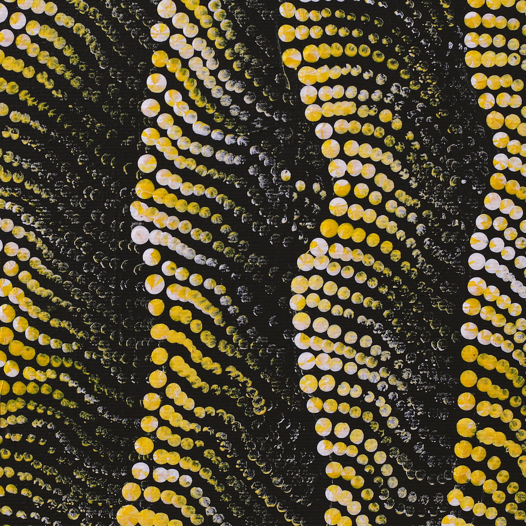 Aboriginal Artwork by Vanessa Nampijinpa Brown, Pamapardu Jukurrpa (Flying Ant Dreaming) - Warntungurru, 30x30cm