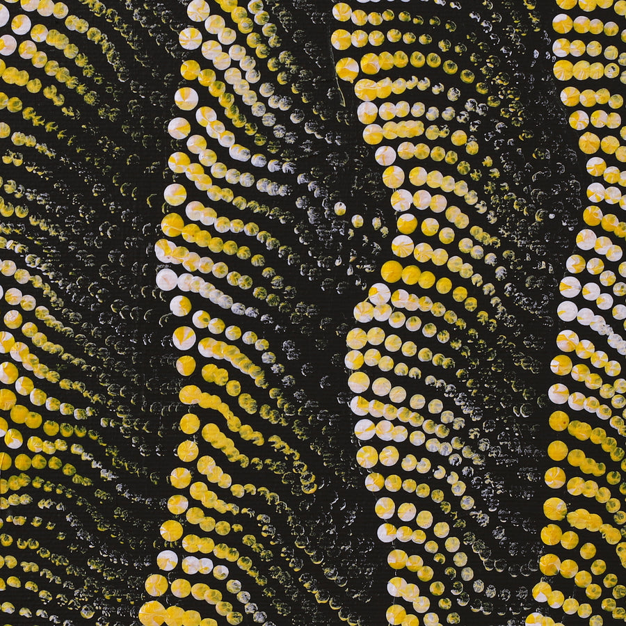 Aboriginal Artwork by Vanessa Nampijinpa Brown, Pamapardu Jukurrpa (Flying Ant Dreaming) - Warntungurru, 30x30cm