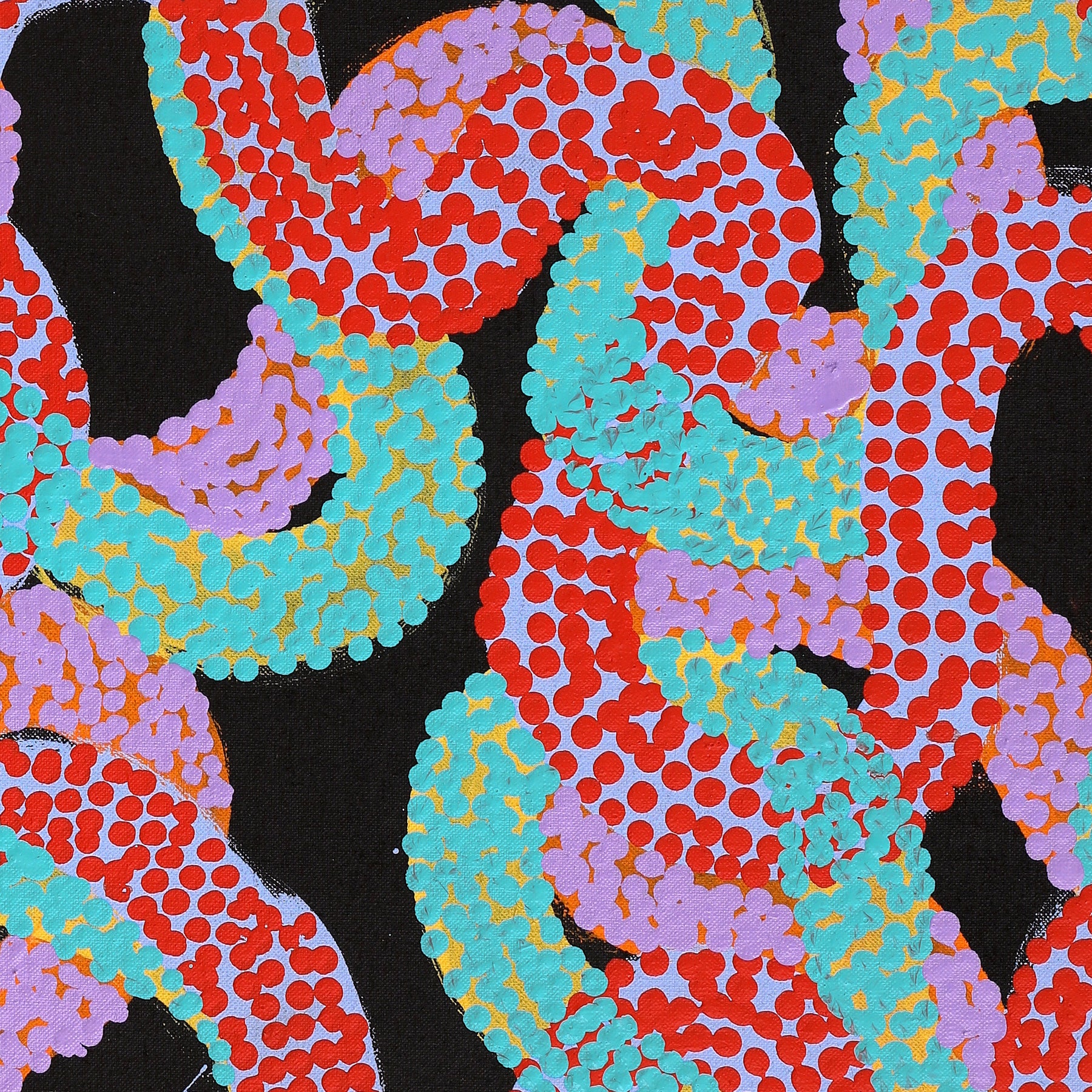 2808/25 Painting Warlukurlangu Jukurrpa (Fire country Dreaming) 30x30cm Theo (Faye) Nangala Hudson - Warlukulangu Artists