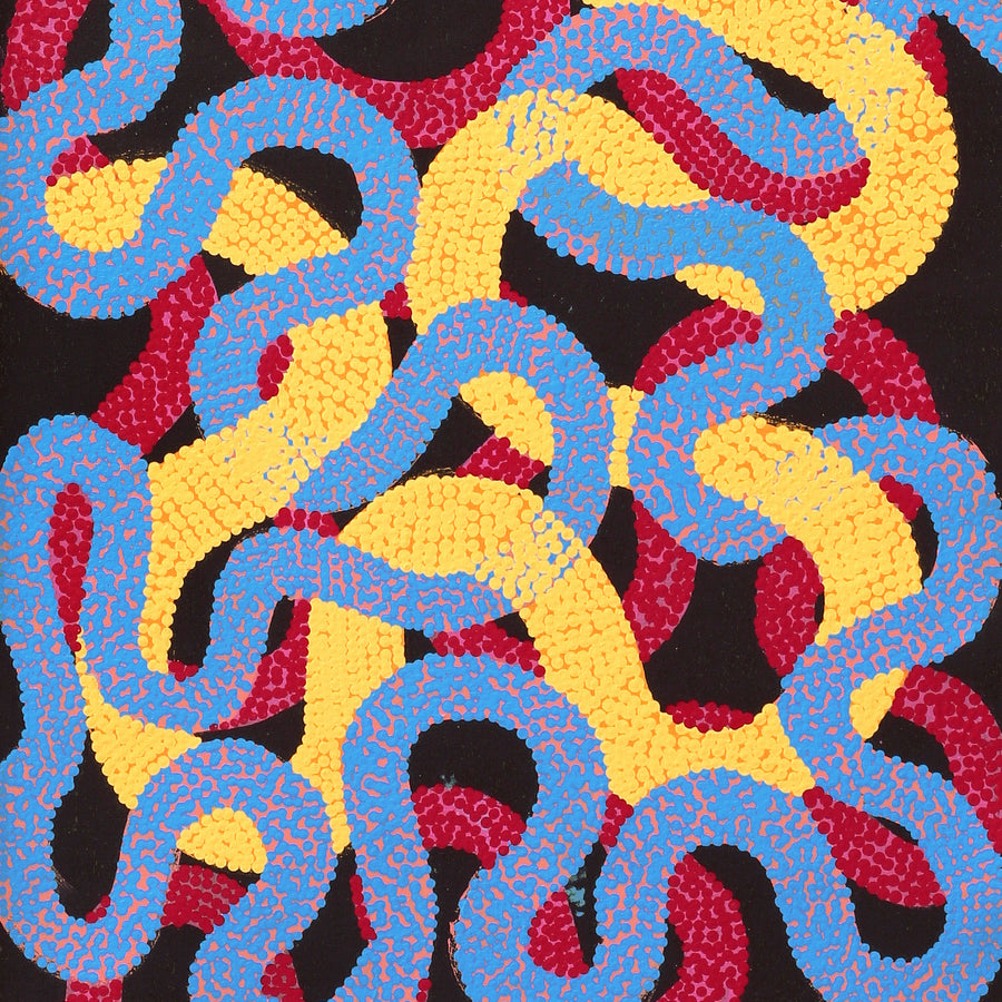Aboriginal Artwork by Vanetta Nampijinpa Hudson, Warlukurlangu Jukurrpa (Fire country Dreaming), 183x61cm