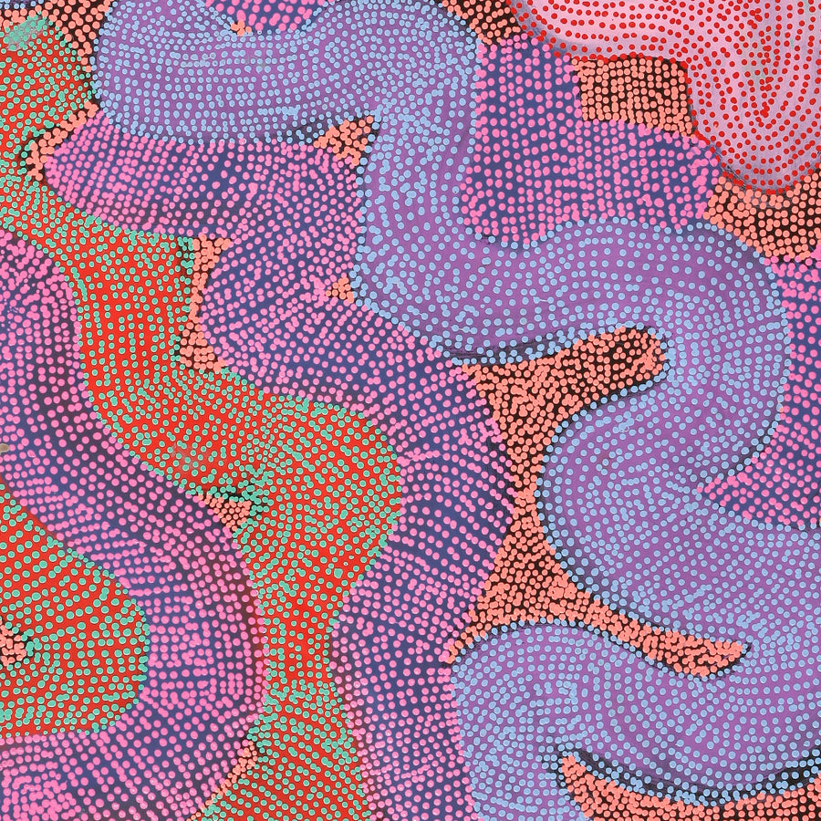 Aboriginal Artwork by Vanetta Nampijinpa Hudson, Warlukurlangu Jukurrpa (Fire country Dreaming), 183x91cm