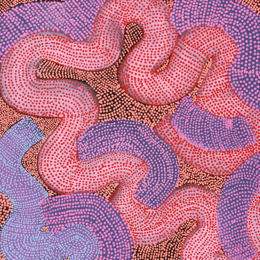 Aboriginal Artwork by Vanetta Nampijinpa Hudson, Warlukurlangu Jukurrpa (Fire country Dreaming), 183x91cm