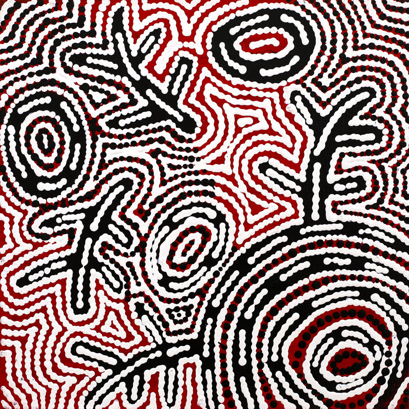 Aboriginal Artwork by Vanetta Nampijinpa Hudson, Warlukurlangu Jukurrpa (Fire country Dreaming), 30x30cm