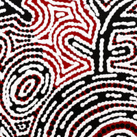 Aboriginal Artwork by Vanetta Nampijinpa Hudson, Warlukurlangu Jukurrpa (Fire country Dreaming), 30x30cm
