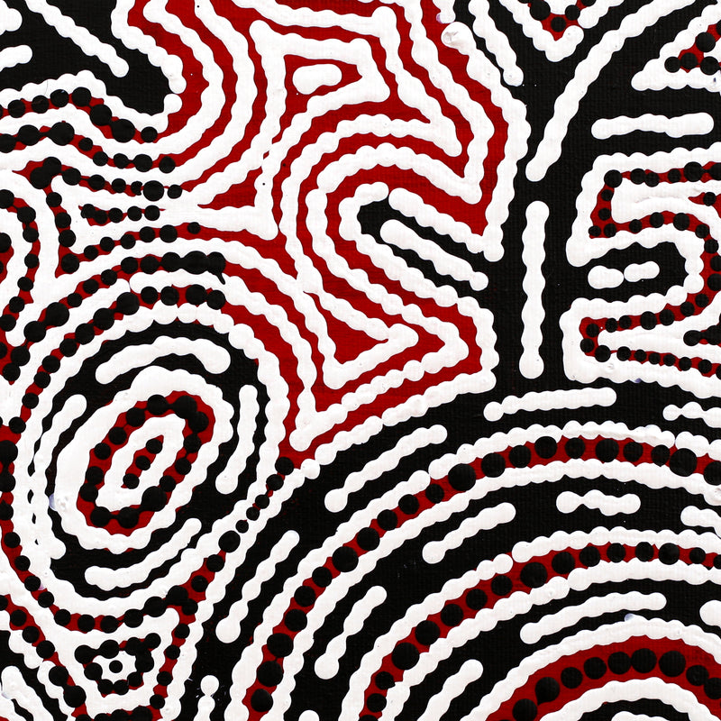 Aboriginal Artwork by Vanetta Nampijinpa Hudson, Warlukurlangu Jukurrpa (Fire country Dreaming), 30x30cm