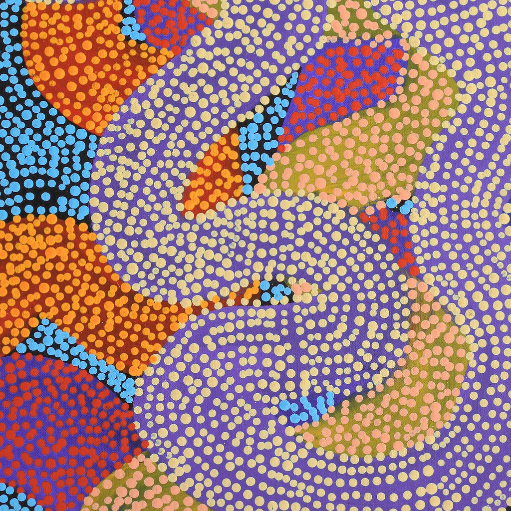 Aboriginal Artwork by Vanetta Nampijinpa Hudson, Warlukurlangu Jukurrpa (Fire country Dreaming), 76x46cm
