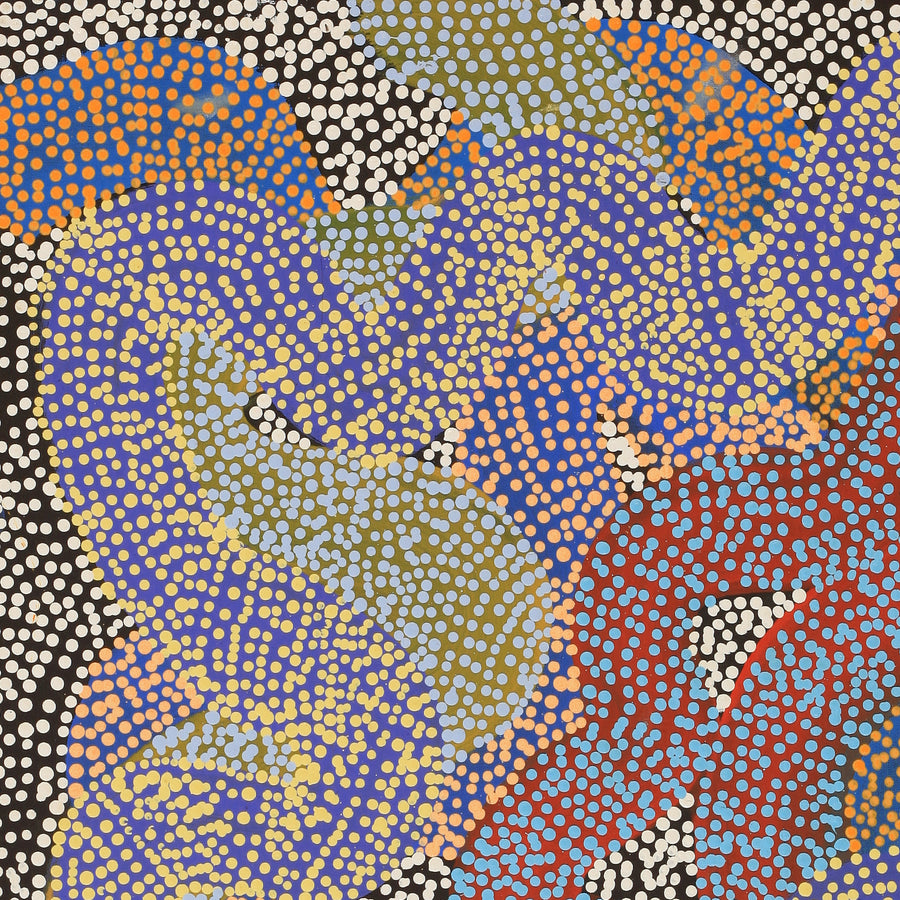 Aboriginal Artwork by Vanetta Nampijinpa Hudson, Warlukurlangu Jukurrpa (Fire country Dreaming), 91x61cm