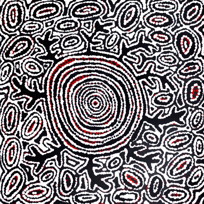 Aboriginal Artwork by Vanetta Nampijinpa Hudson, Pikilyi Jukurrpa (Vaughan Springs Dreaming), 46x46cm