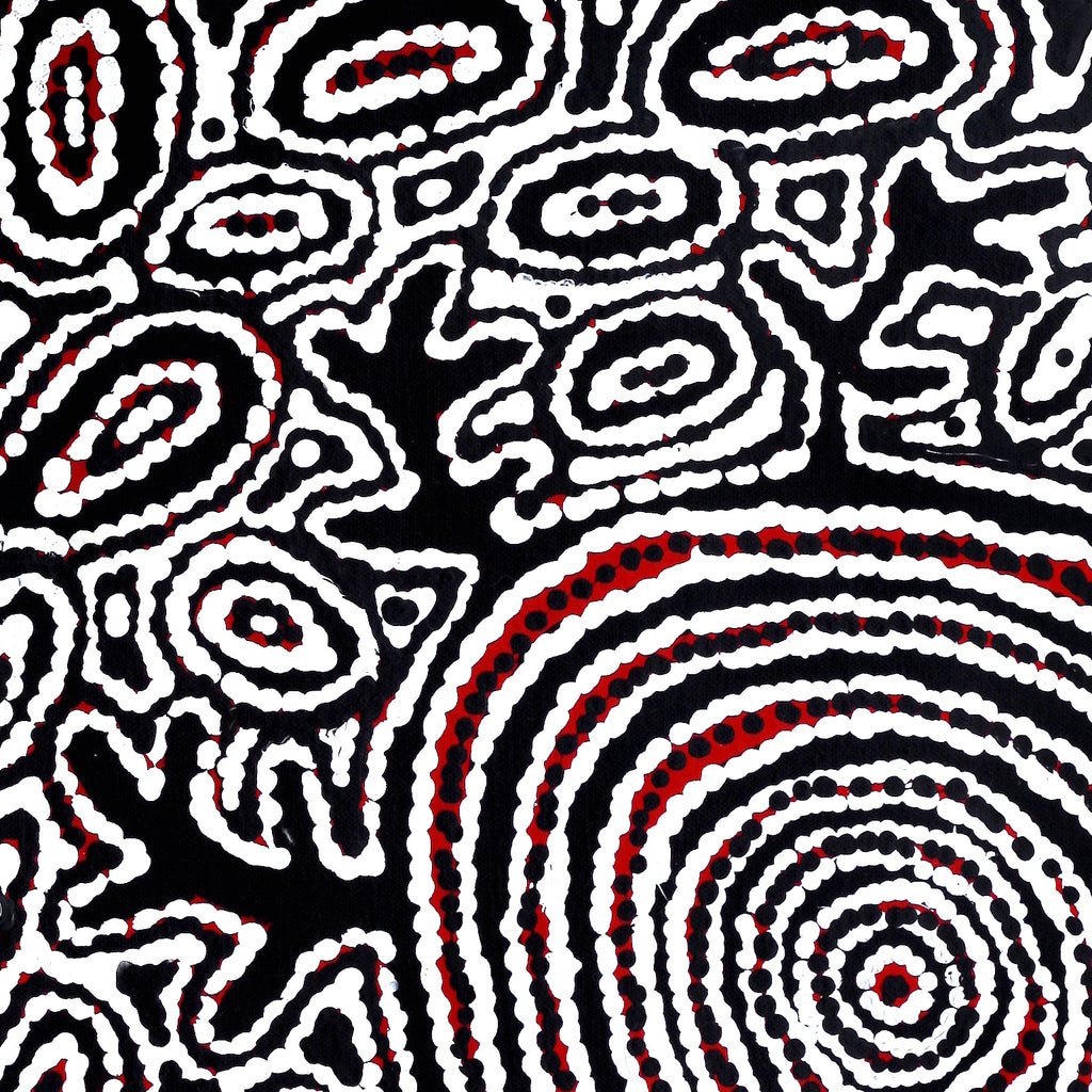 Aboriginal Artwork by Vanetta Nampijinpa Hudson, Pikilyi Jukurrpa (Vaughan Springs Dreaming), 46x46cm