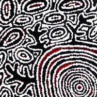 Aboriginal Artwork by Vanetta Nampijinpa Hudson, Pikilyi Jukurrpa (Vaughan Springs Dreaming), 46x46cm