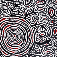 Aboriginal Artwork by Vanetta Nampijinpa Hudson, Pikilyi Jukurrpa (Vaughan Springs Dreaming), 46x46cm