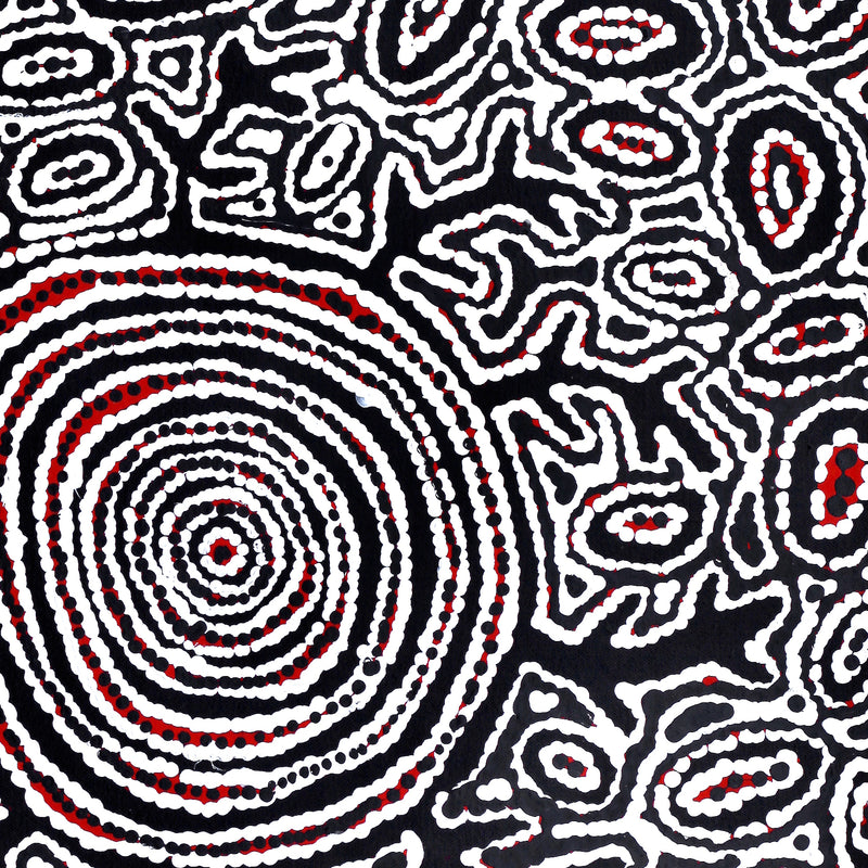 Aboriginal Artwork by Vanetta Nampijinpa Hudson, Pikilyi Jukurrpa (Vaughan Springs Dreaming), 46x46cm