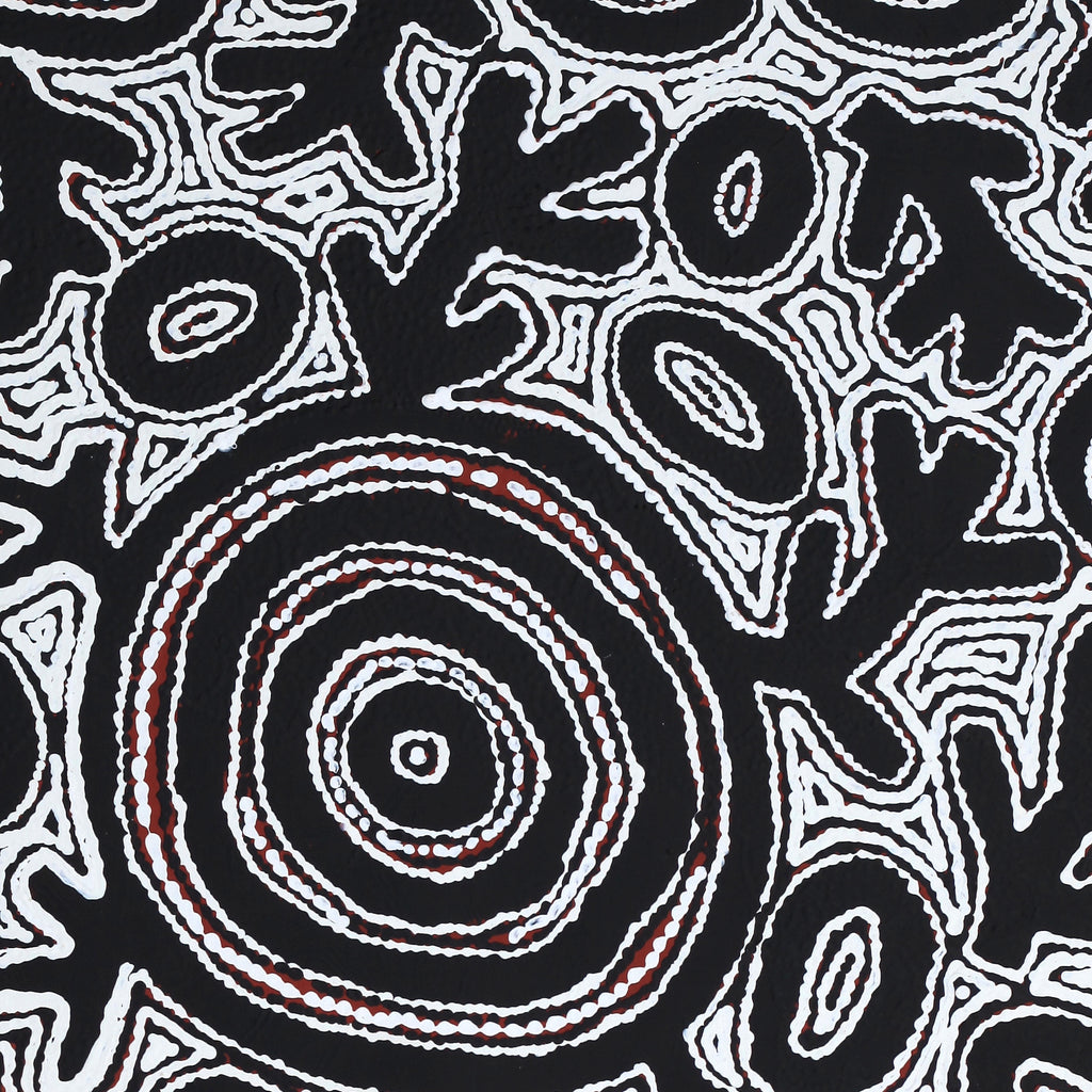 Aboriginal Artwork by Vanetta Nampijinpa Hudson, Pikilyi Jukurrpa (Vaughan Springs Dreaming), 122x76cm - ART ARK®