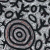 Aboriginal Artwork by Vanetta Nampijinpa Hudson, Pikilyi Jukurrpa (Vaughan Springs Dreaming), 122x76cm