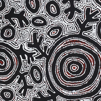 Aboriginal Artwork by Vanetta Nampijinpa Hudson, Pikilyi Jukurrpa (Vaughan Springs Dreaming), 122x76cm