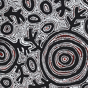 Aboriginal Artwork by Vanetta Nampijinpa Hudson, Pikilyi Jukurrpa (Vaughan Springs Dreaming), 122x76cm - ART ARK®