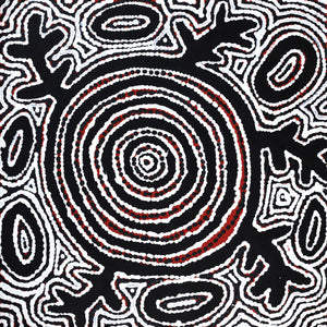 Aboriginal Art by Vanetta Nampijinpa Hudson, Pikilyi Jukurrpa (Vaughan Springs Dreaming), 46x46cm - ART ARK®
