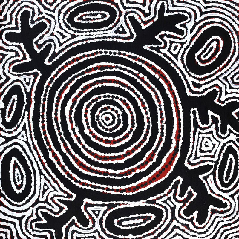 Aboriginal Artwork by Vanetta Nampijinpa Hudson, Pikilyi Jukurrpa (Vaughan Springs Dreaming), 46x46cm