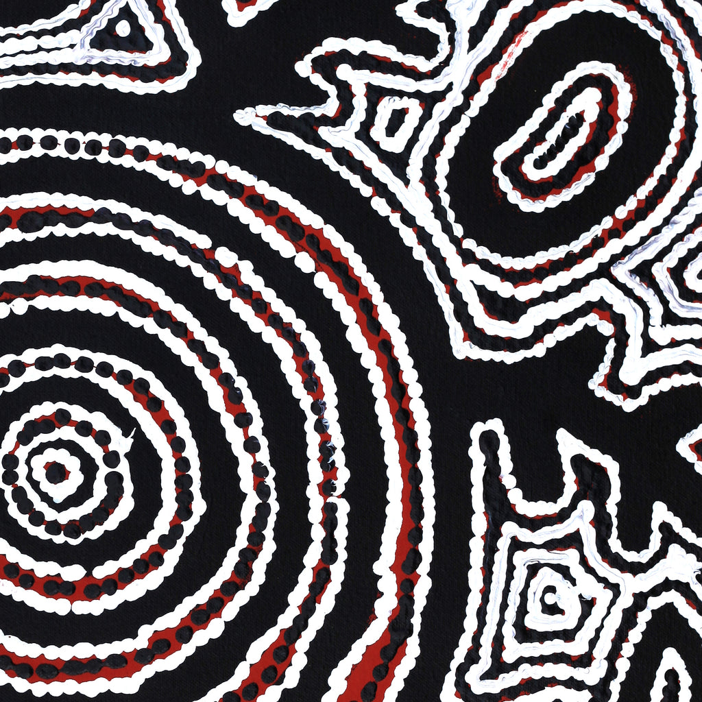 Aboriginal Artwork by Vanetta Nampijinpa Hudson, Pikilyi Jukurrpa (Vaughan Springs Dreaming), 46x46cm