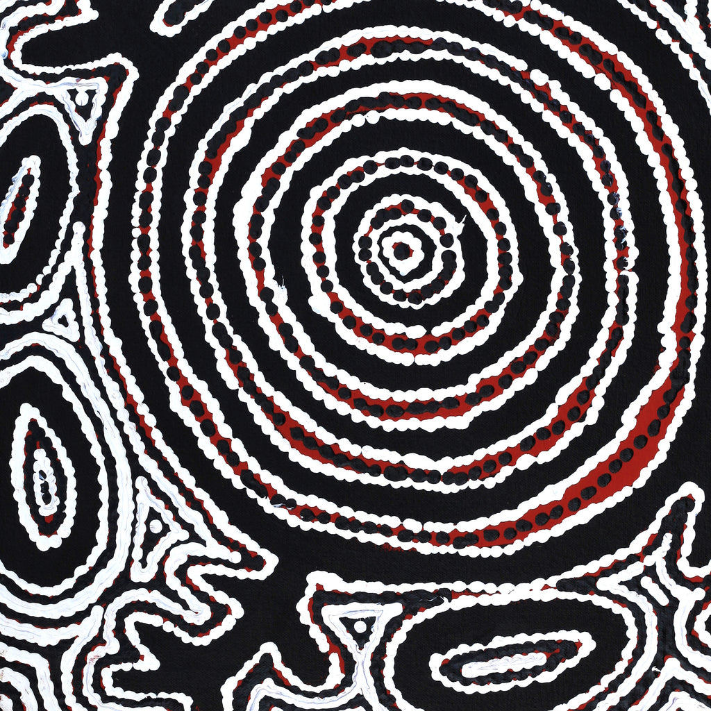 Aboriginal Artwork by Vanetta Nampijinpa Hudson, Pikilyi Jukurrpa (Vaughan Springs Dreaming), 46x46cm