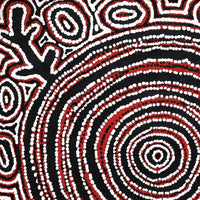 Aboriginal Artwork by Vanetta Nampijinpa Hudson, Pikilyi Jukurrpa (Vaughan Springs Dreaming), 61x61cm
