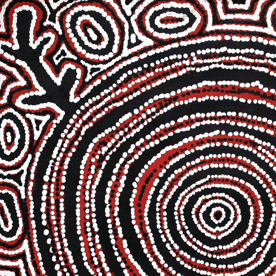 Aboriginal Artwork by Vanetta Nampijinpa Hudson, Pikilyi Jukurrpa (Vaughan Springs Dreaming), 61x61cm