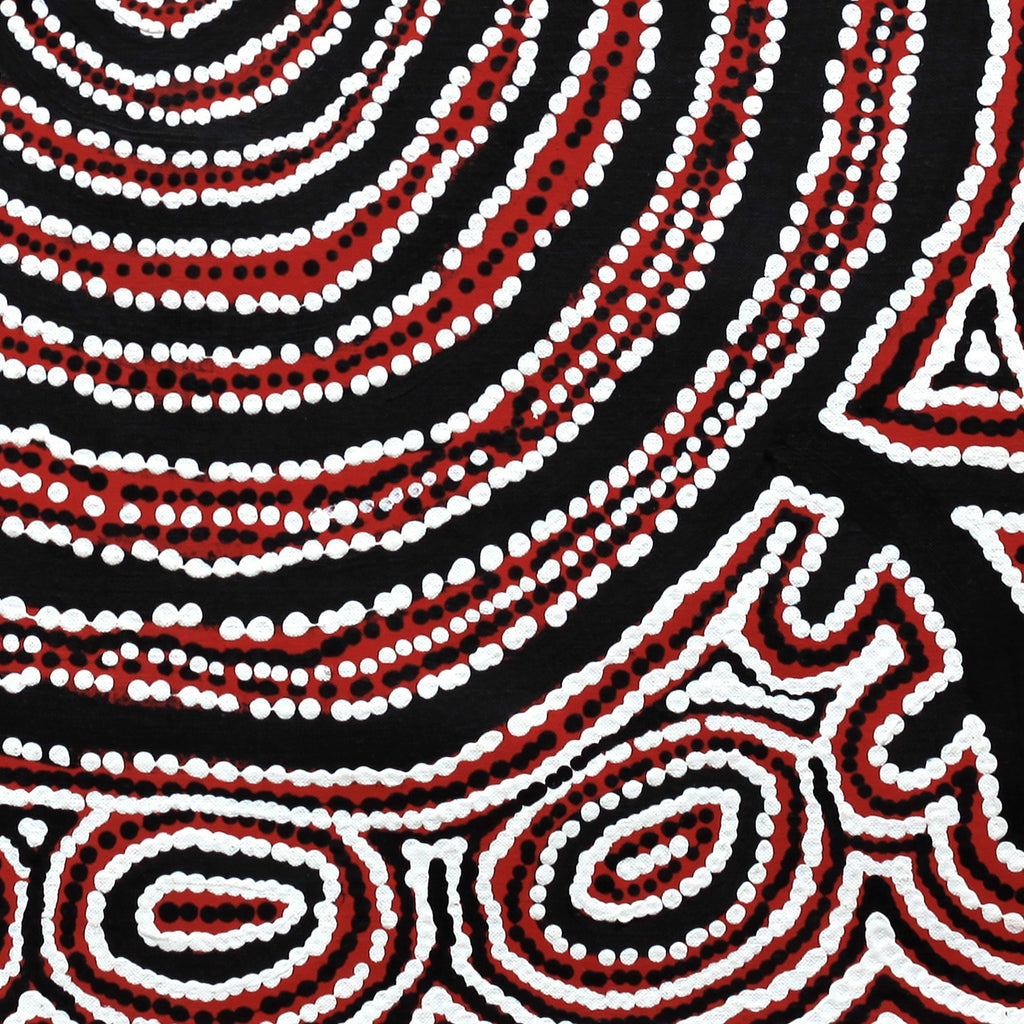 Aboriginal Artwork by Vanetta Nampijinpa Hudson, Pikilyi Jukurrpa (Vaughan Springs Dreaming), 61x61cm